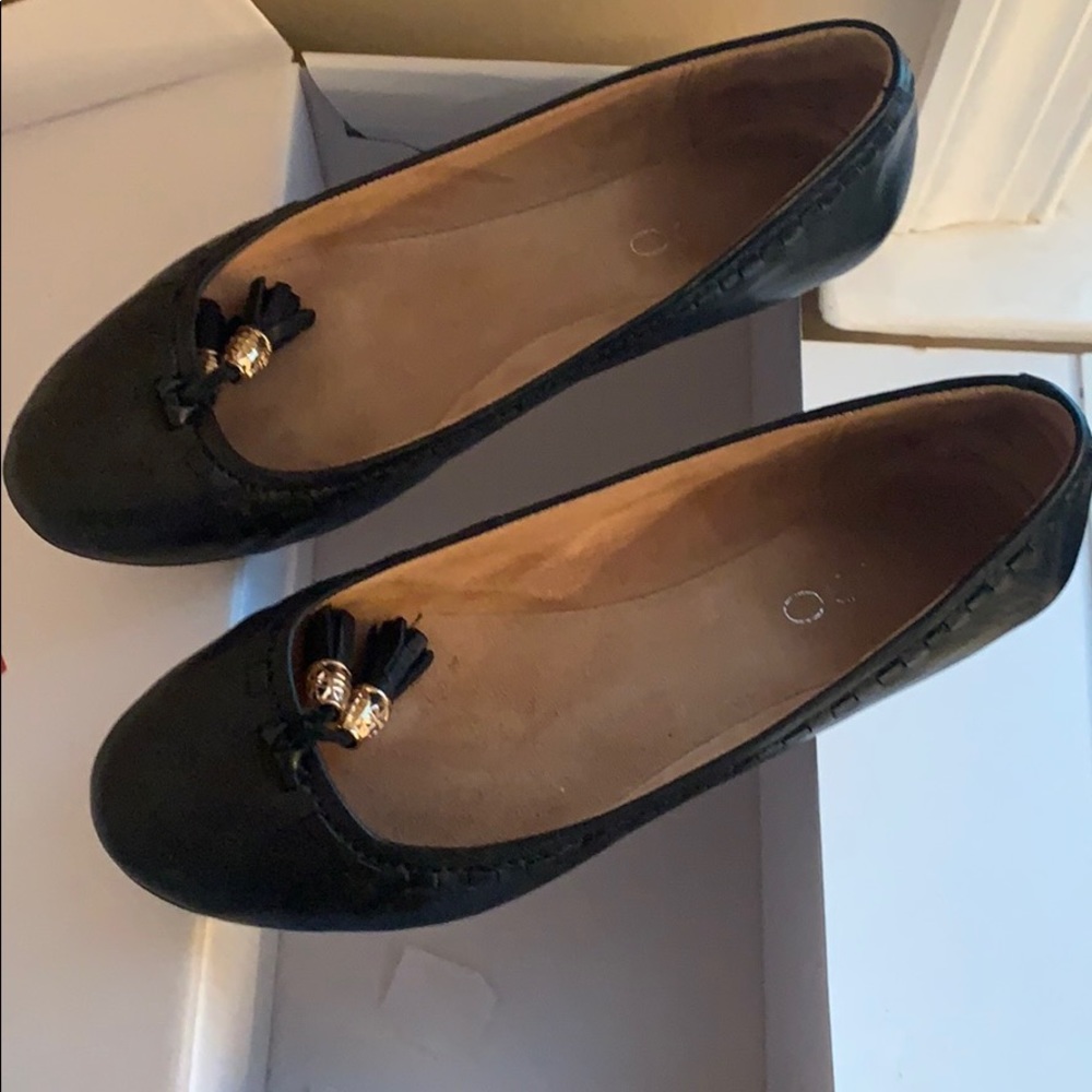 Black Flats